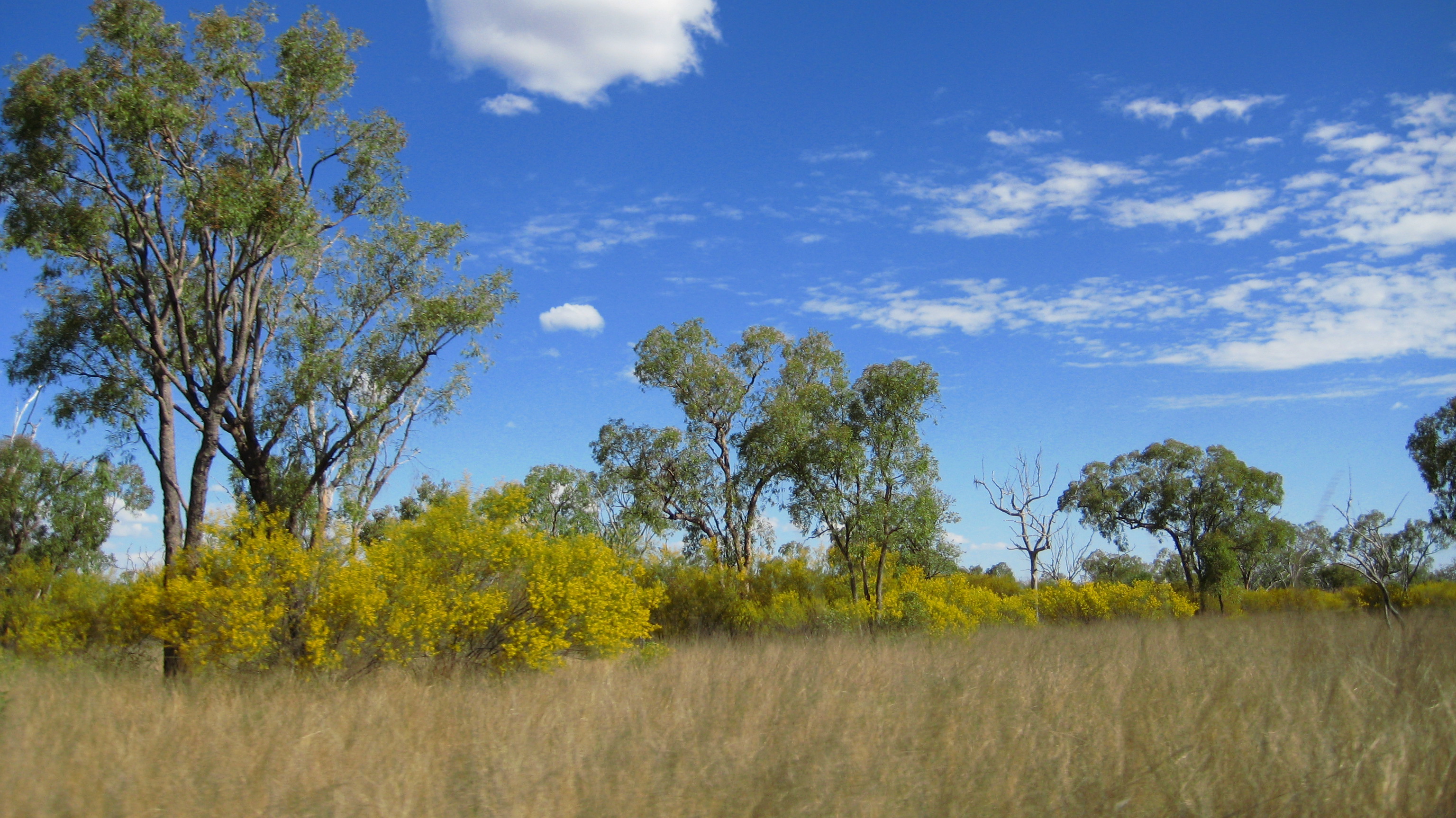 submission-on-draft-south-australian-mining-regulations-2020