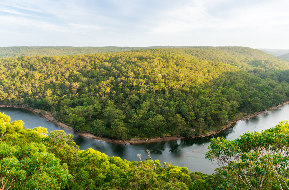 Solicitor Southern Central Queensland Environmental Defenders Office